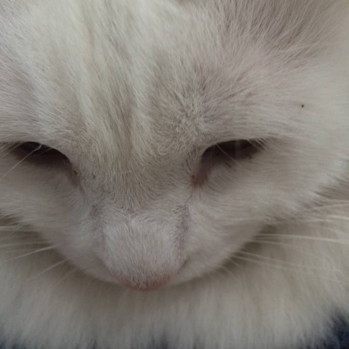 Fe7aeb2f 8b51 4928 9083 901ee482824d