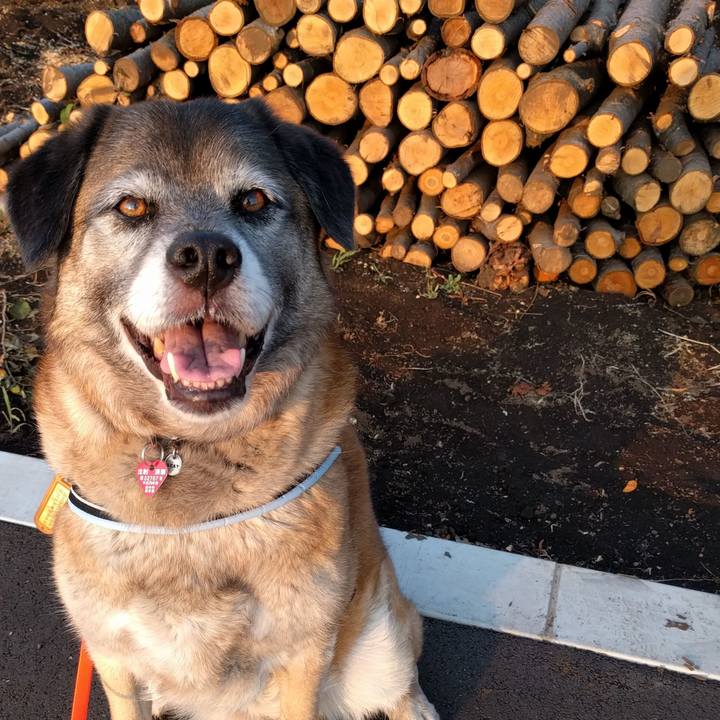 Fe7c8f1b ce5d 4951 9959 501cee6232ba