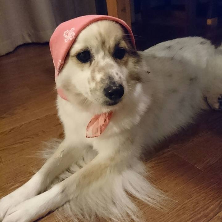 Fe7c90e7 5419 4d3f b9eb 76550c3d1793