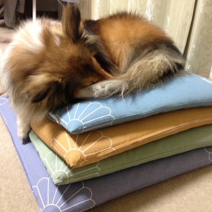 Fe7d4b56 b4fc 4dcd 8584 fd73bf0ed35e