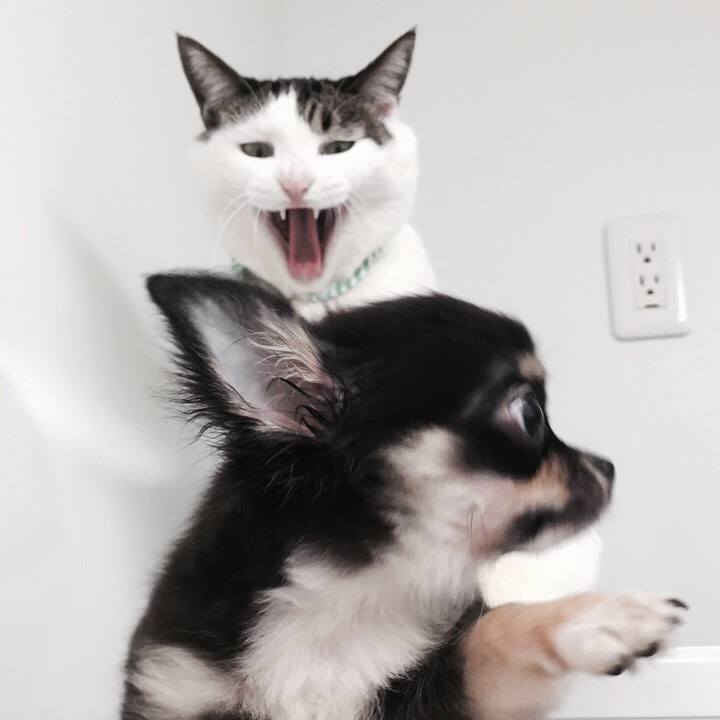 Fe7d9b9a 7f5c 4552 83e0 6a3bdc06cb3f