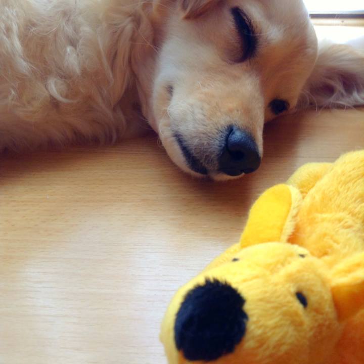 Fe7da6a5 9b08 4d30 a09b cb54b3e15852