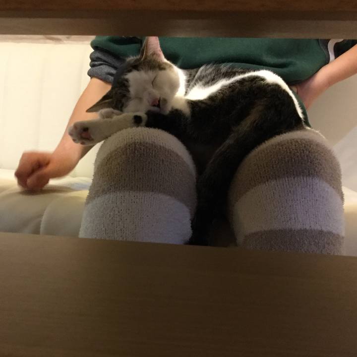 Fe7dbd9c e3a6 4c83 a174 9baa1b29f7d9