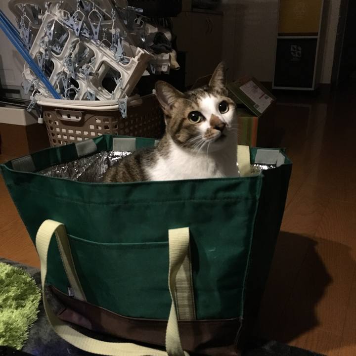 Fe7deb56 0b5b 4a94 a585 d9a499362029