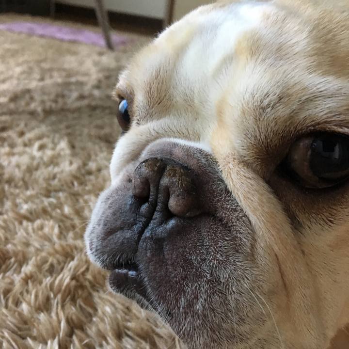 Fe7e2e73 4253 4cf1 a443 ef322666c65d