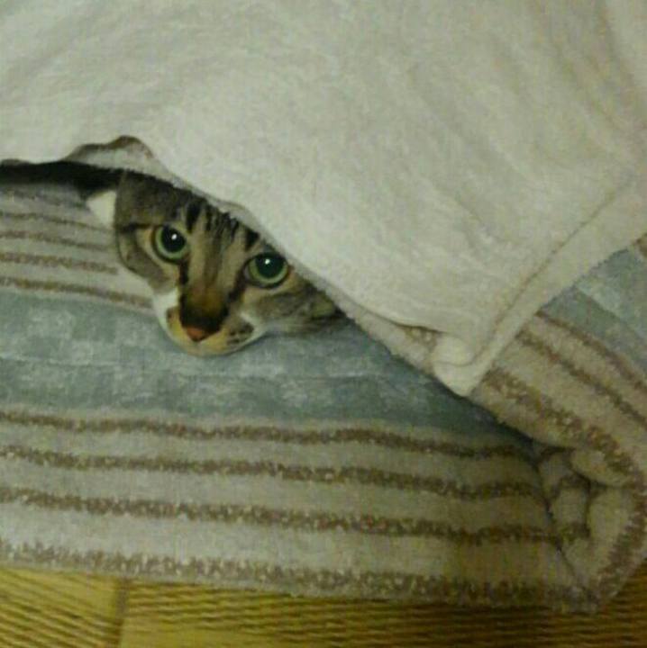 Fe7ed2eb 56db 41c8 8240 7c8c2a2a23f8