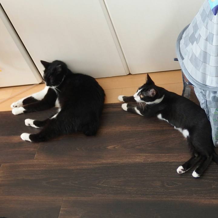 Fe7f52ae 4612 4a9c 9e3a 1101929eb736