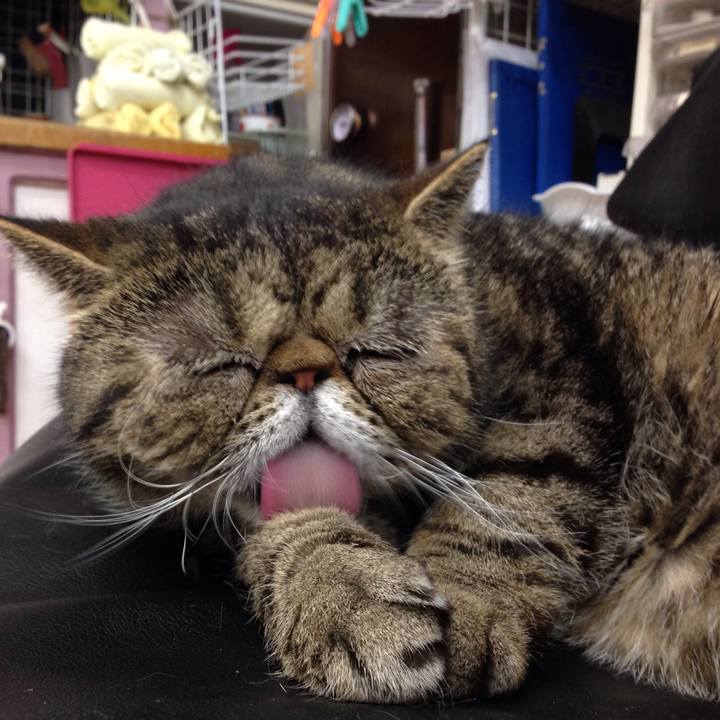 Fe7fad26 33d9 4c18 9c63 de6c16c44041