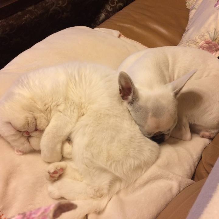 Fe801e35 b1d8 40d6 ad94 fcc7973fead3