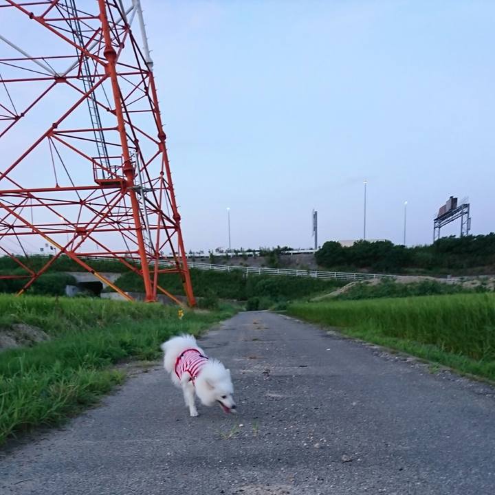 Fe805218 2d8a 4b18 b92d 20e74aeea59f