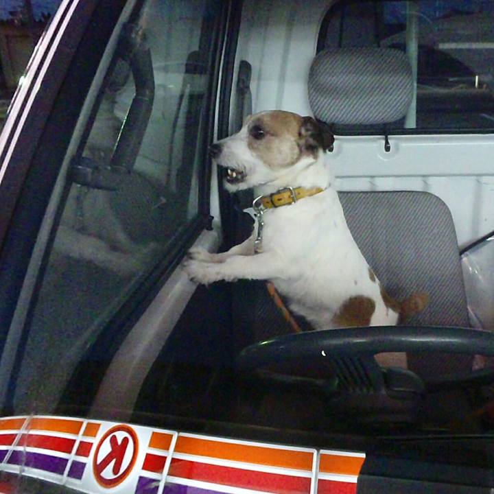 Fe821419 8a0b 4254 95ba ee5f1b05ba61