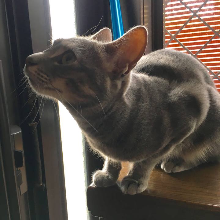 Fe82fd72 7113 4bc3 a2aa f3043eefc496