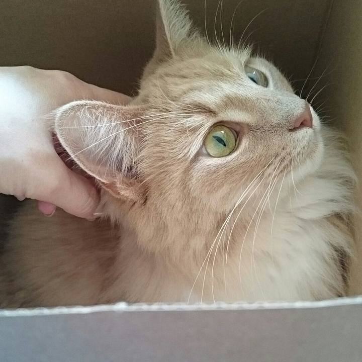 Fe839128 5aee 4d46 9d2f 14fc3b46e66f