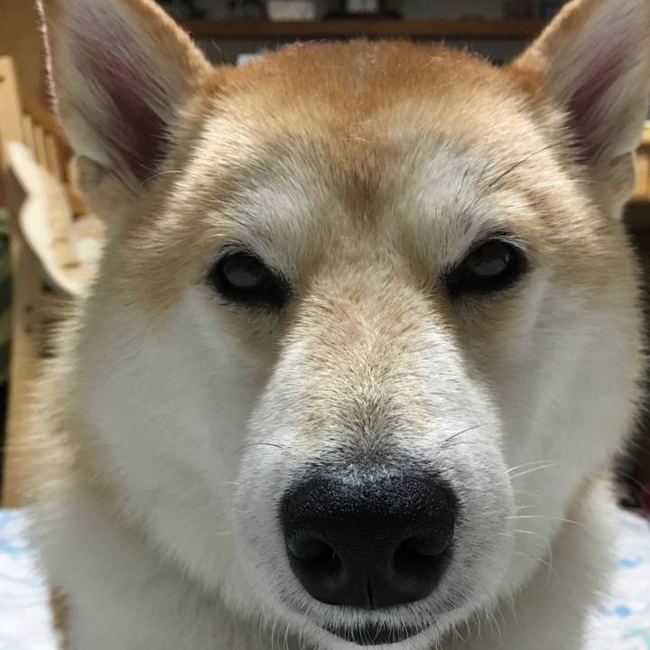 Fe83d6be 2324 42e8 b557 2a6fda942690