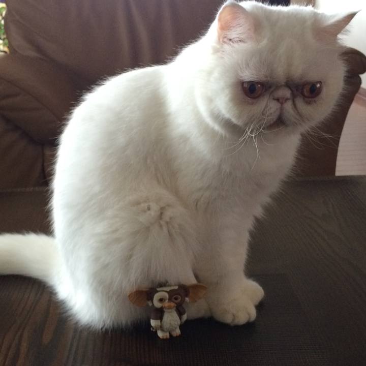 Fe844214 81e1 44fd 8171 823de615d70d