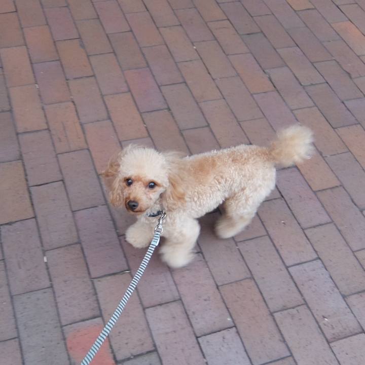 Fe853a5d 20bb 426c abf9 28a7302479b3