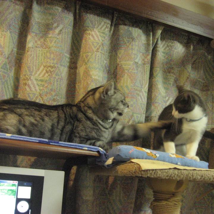 Fe855373 57d9 4a37 8dc0 d15144afc5f3