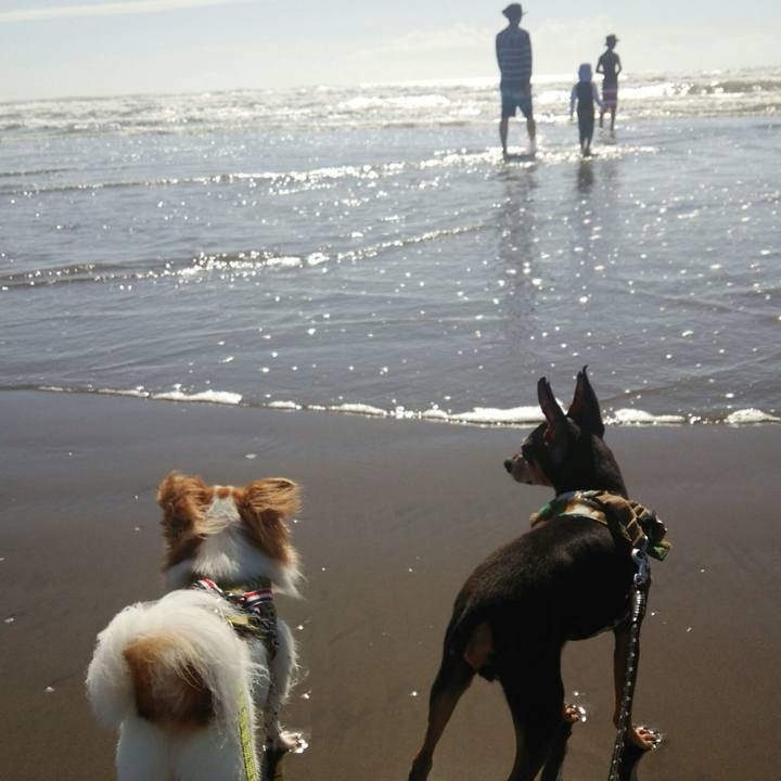 Fe85cab2 b61d 4d6a b870 e71b095282fa