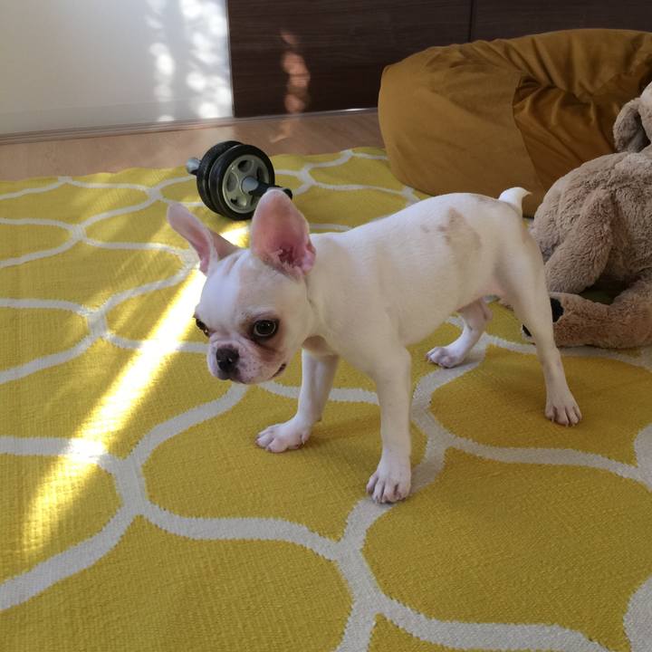 Fe85ec61 135f 480c 9165 6fe481c75697