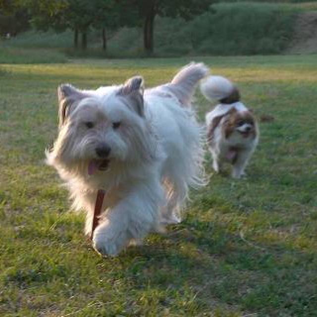 Fe85f6fe fe92 4149 82d6 475beeeaeaf7