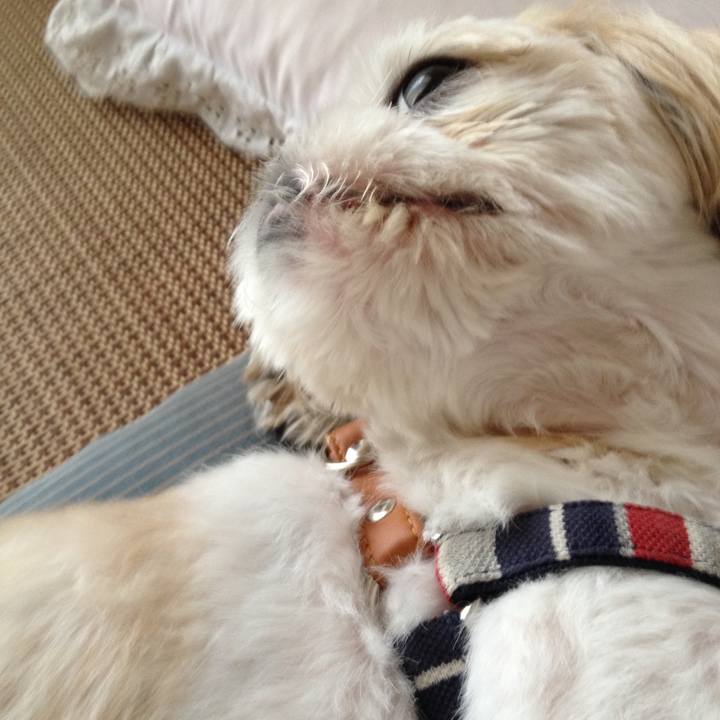 Fe863450 1b19 46a8 b44c df950ad4860d