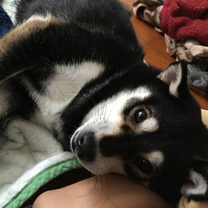 Fe863747 657b 49d0 80c1 f447164c4ed3