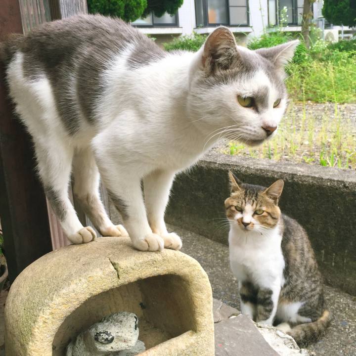 Fe86dd34 4768 4191 a194 ddf0e7f88d66