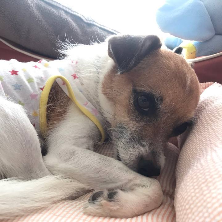 Fe86f690 6669 4e8d b843 5edb07613d08