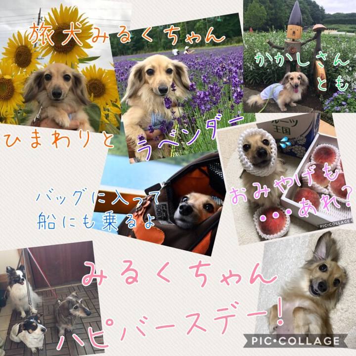Fe86f9b8 ff33 44a0 a6a0 234fe29dac91