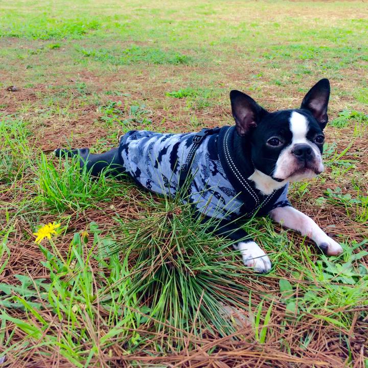 Fe8727bc 2b1b 441f b2b5 d9804cd38124