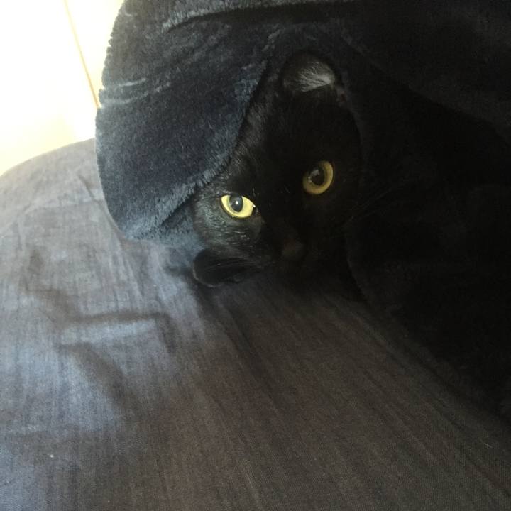 Fe87ac63 5528 4d44 b56a e6ca2406809c