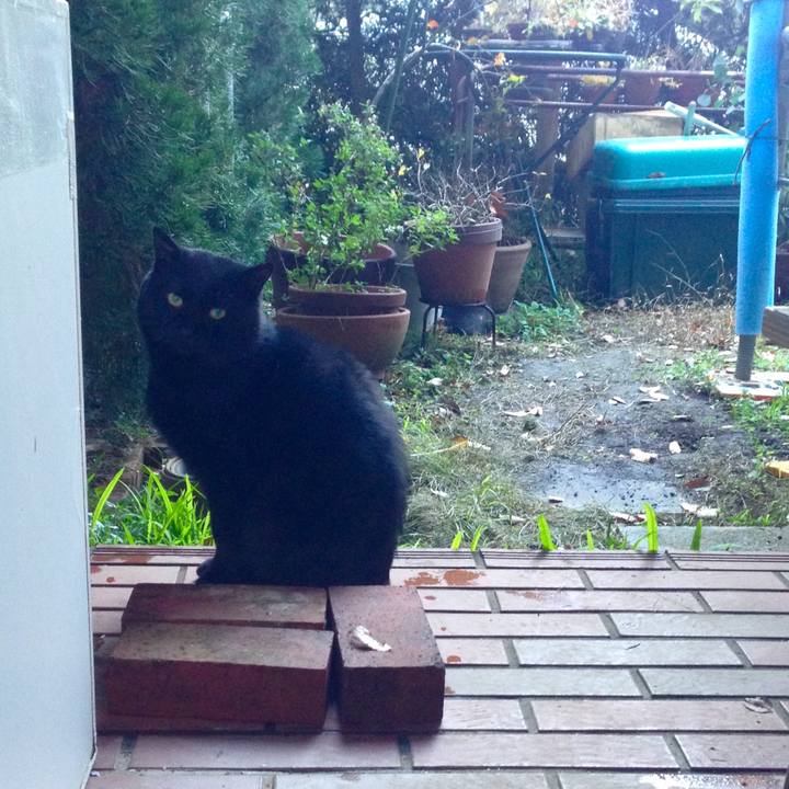 Fe8864b1 a9bd 427a ad5b 047e1d8513ea