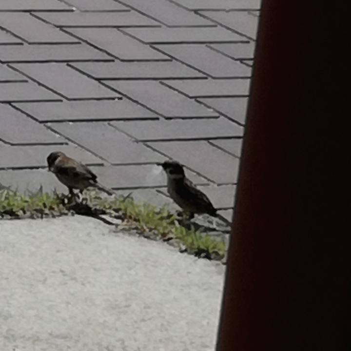 Fe88bf56 b7b5 41e4 9525 6f85b116a52a