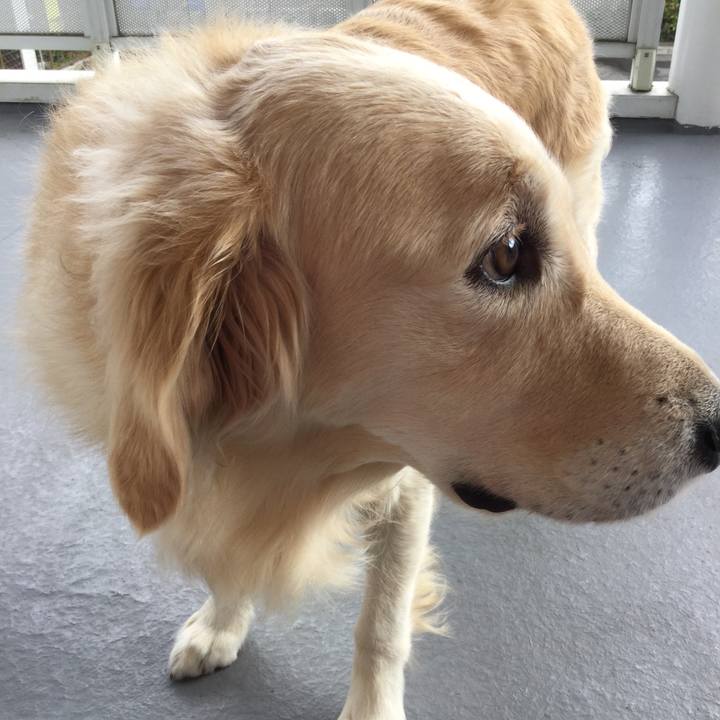 Fe8971f1 e395 4a33 8db3 9793c02398b8