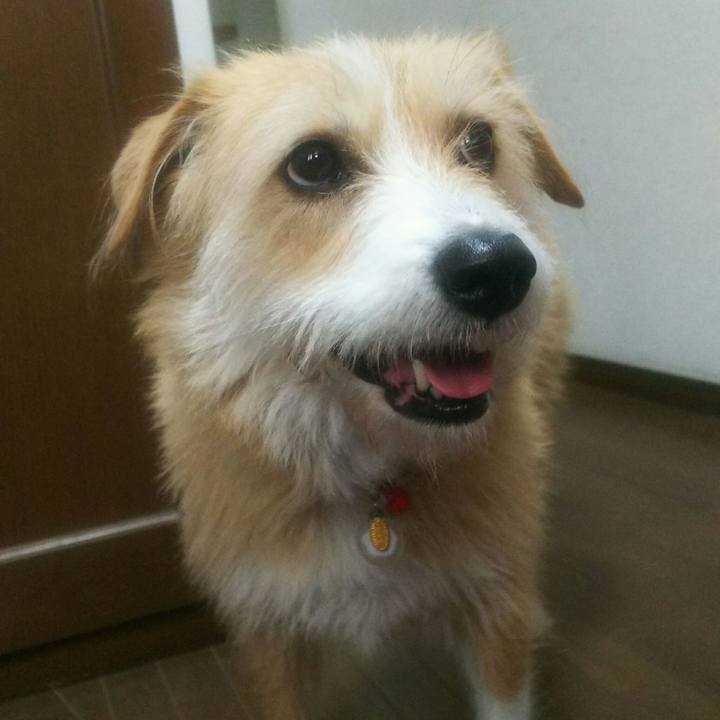 Fe89ebf6 21b0 425e 8248 9698fc49dcd4