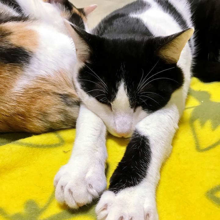 Fe89fb60 97f4 467f be31 4527fc791489