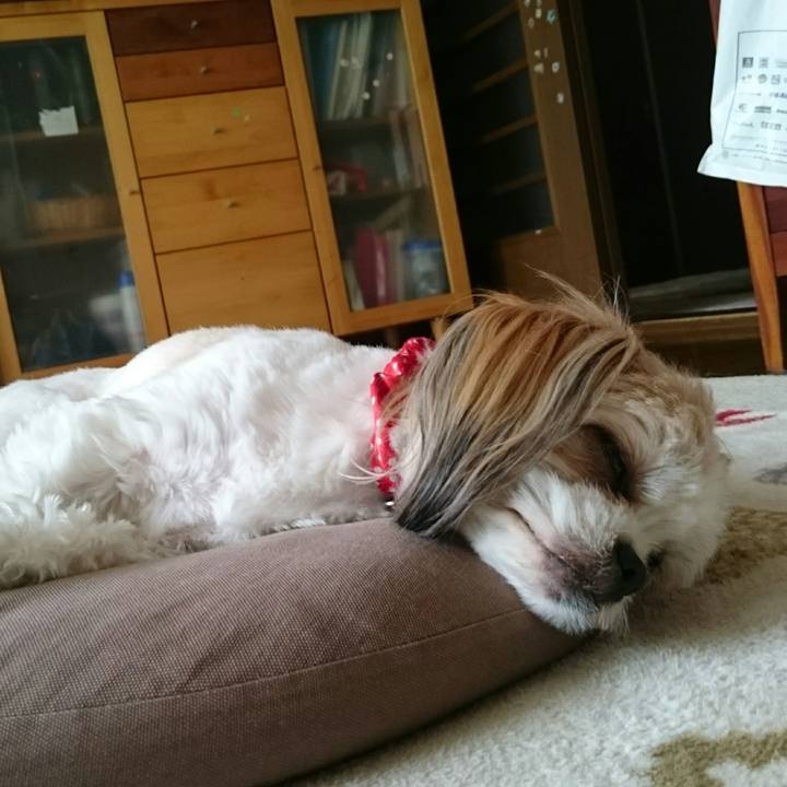 Fe8acfe8 15ae 41cf 865e de25154f2fbe