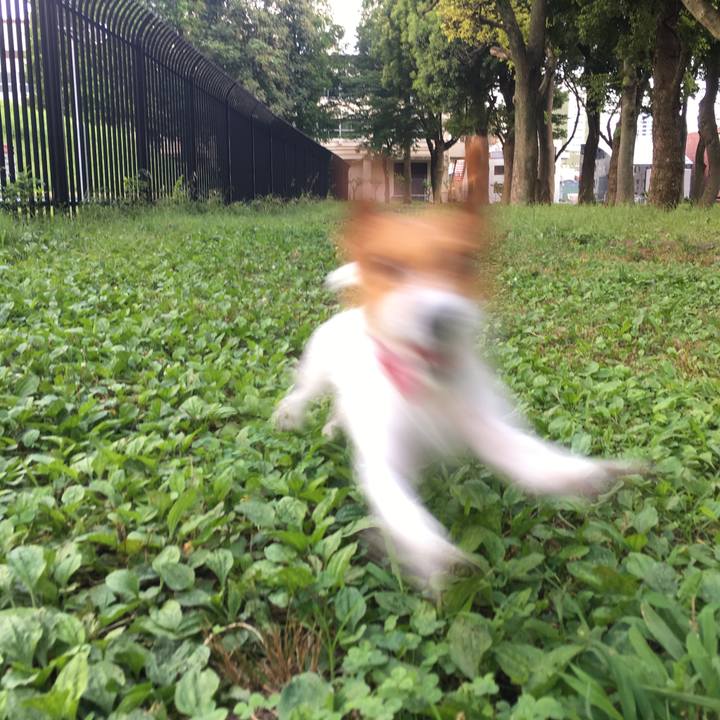 Fe8ad30e fabe 4581 9cdc 6fc5b9f8b5d7