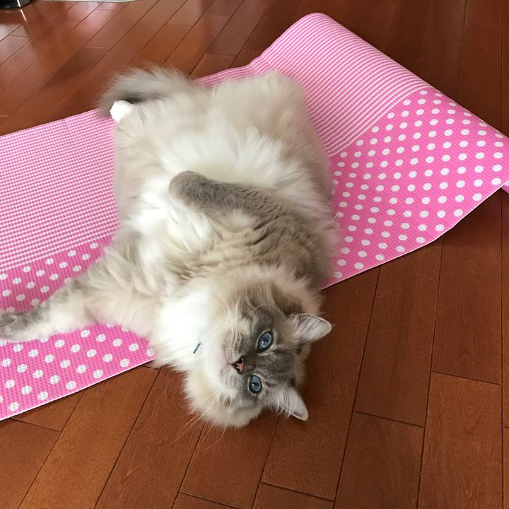 Fe8ae103 e526 41c5 af3a 453402340bbe