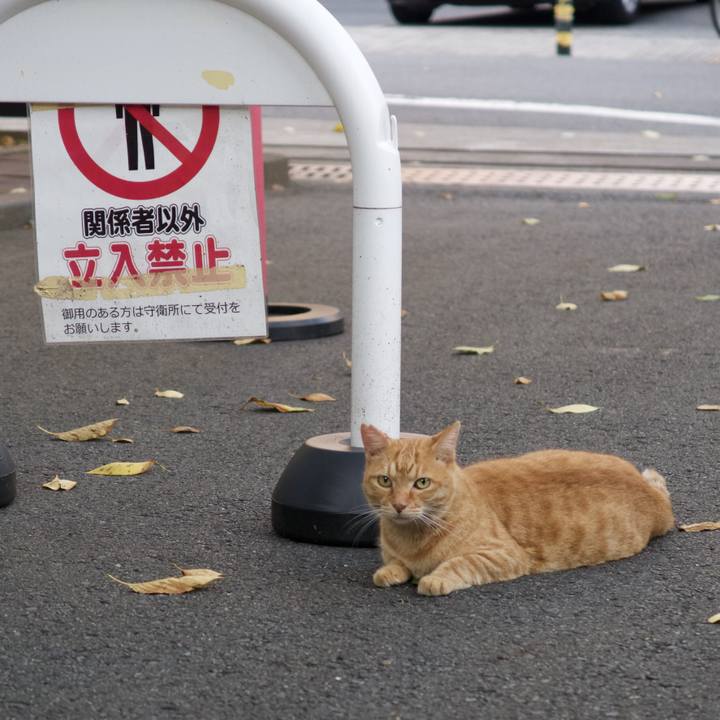 Fe8b5297 7923 405d a15f 21036e9cdd61