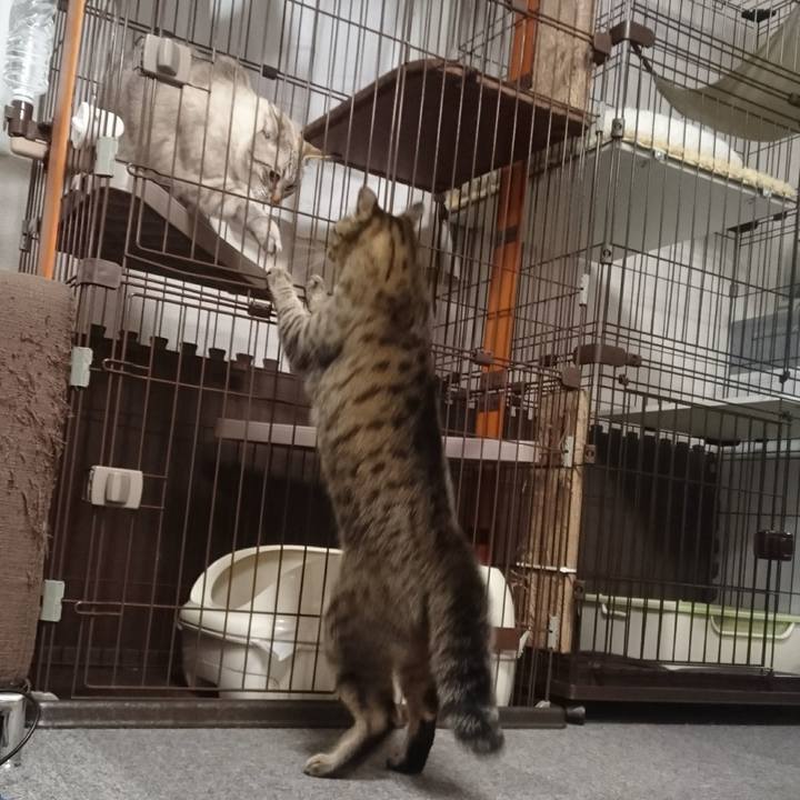 Fe8b75e2 f9fb 499a 8c25 acb16aa47580