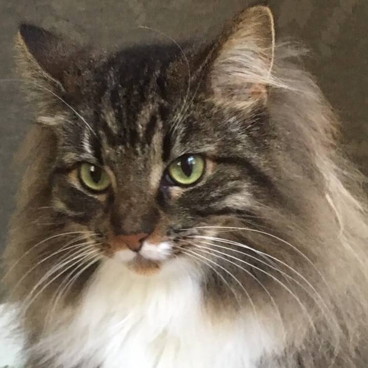 Fe8b78d1 8155 4845 8a42 ba47137edddd