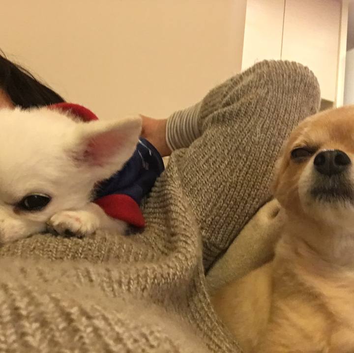 Fe8bb37e fb2d 4c39 a707 82b63a13807b