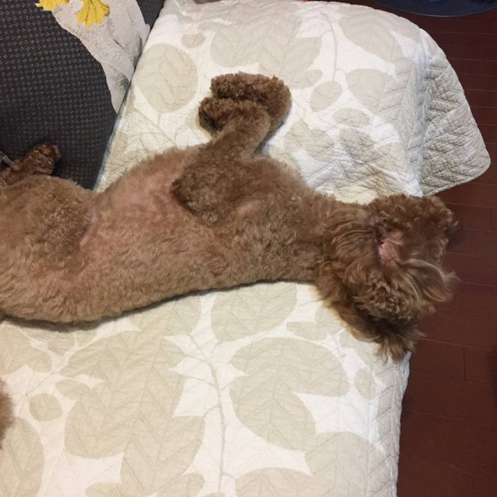 Fe8c3265 ee0e 4bf5 83ff e0b13a254178