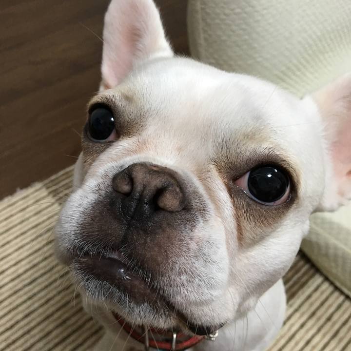 Fe8c877d 2f87 4682 a906 6140d8723385