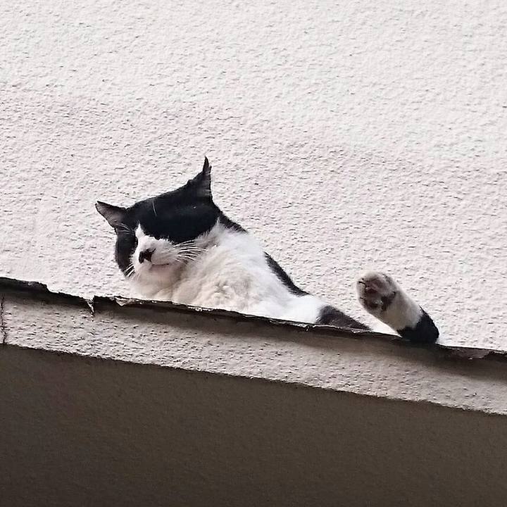 Fe8d22b0 4f9d 44a4 9ed4 9768f3f9039b