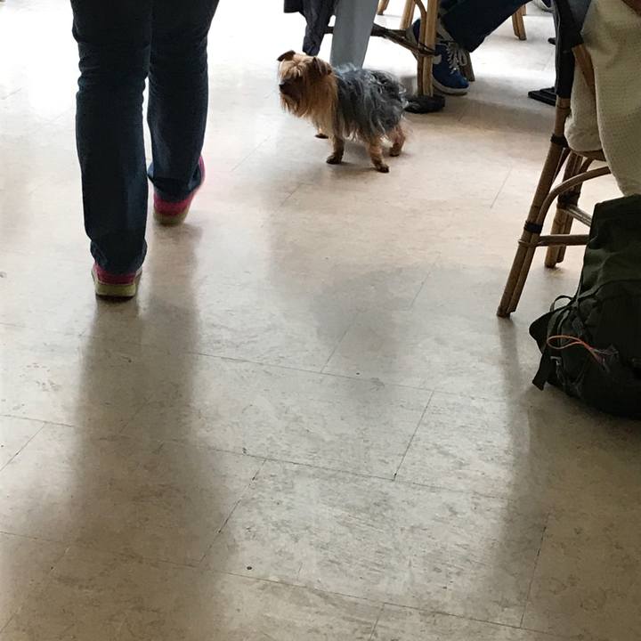 Fe8e2c87 83d1 4ae1 8d21 556d1dc4417a