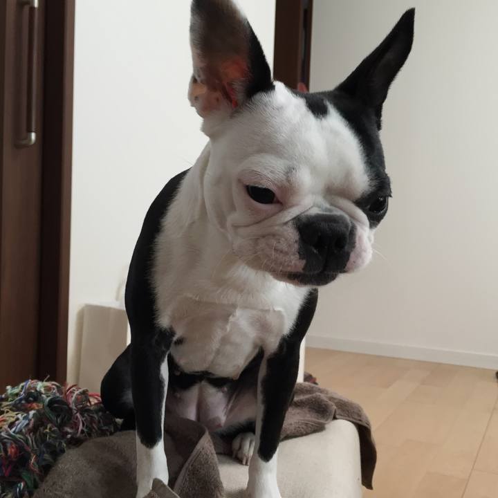 Fe8e9369 f4d2 4067 8f4a 62ff85eba5f6