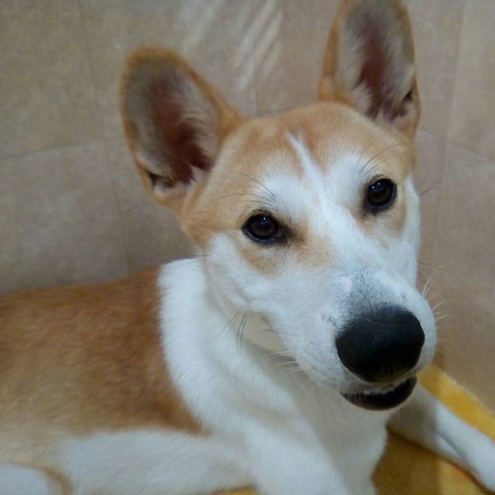 Fe8eef0a 5063 4e6a a2c3 51a0f1166ab7