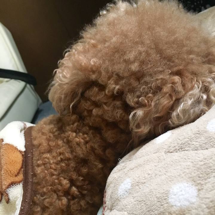 Fe8ef5e5 2363 4e36 9ef2 f66a6a3f73a7